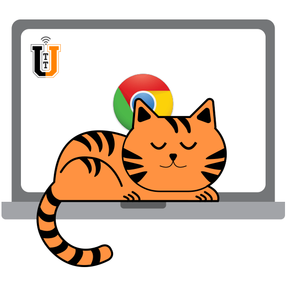 Pets and Laptops Pets and Laptops